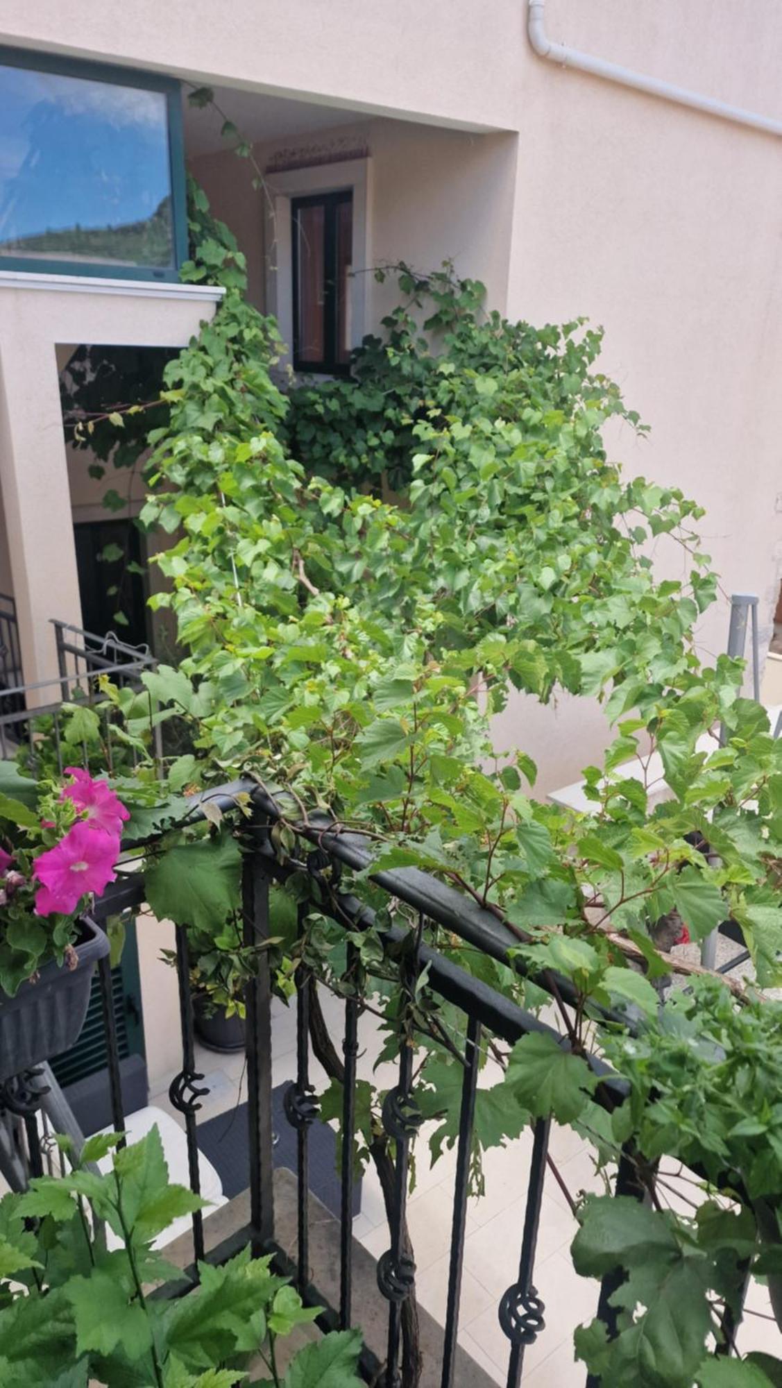 Apartments Ante 2 Хвар Екстериор снимка